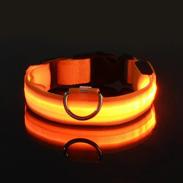 Flashing Glow Collar