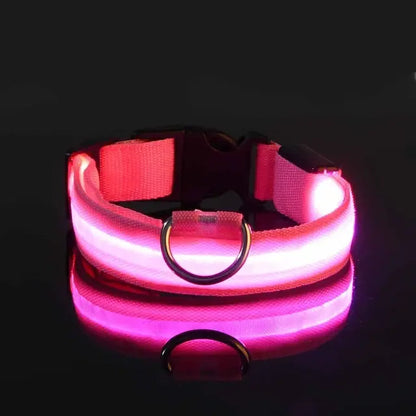 Flashing Glow Collar