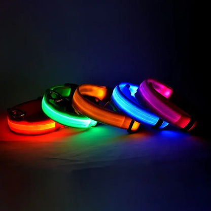 Flashing Glow Collar