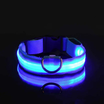 Flashing Glow Collar