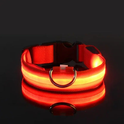 Flashing Glow Collar