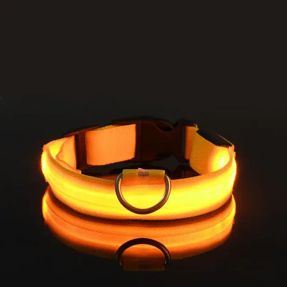 Flashing Glow Collar