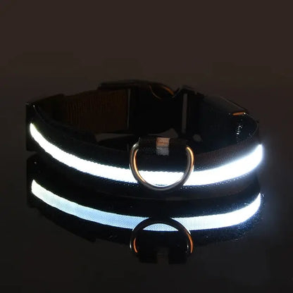 Flashing Glow Collar