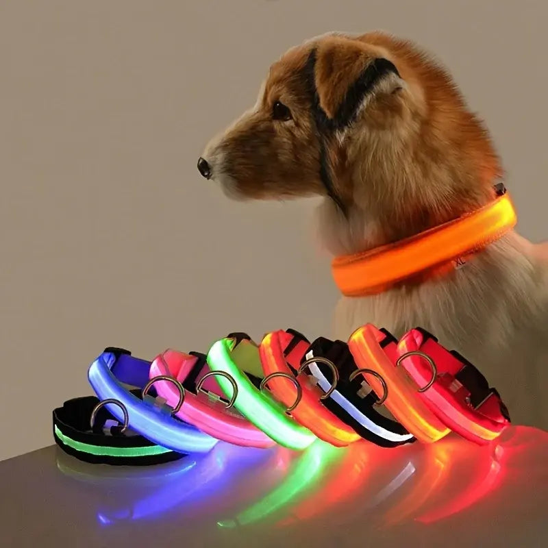 Flashing Glow Collar