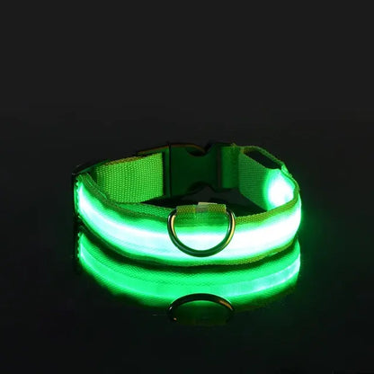 Flashing Glow Collar